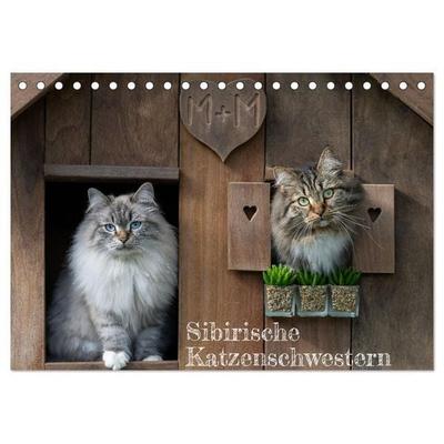 Maui und Molokai - Sibirische Katzenschwestern (Tischkalender 2027 DIN A5 quer), CALVENDO Monatskalender