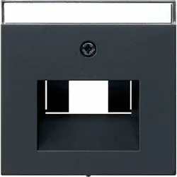 Gira System 55 Zentralplatte, UAE/IAE, schwarz, Befestigung mit Schraube, mit Beschriftungsfeld, 0284005