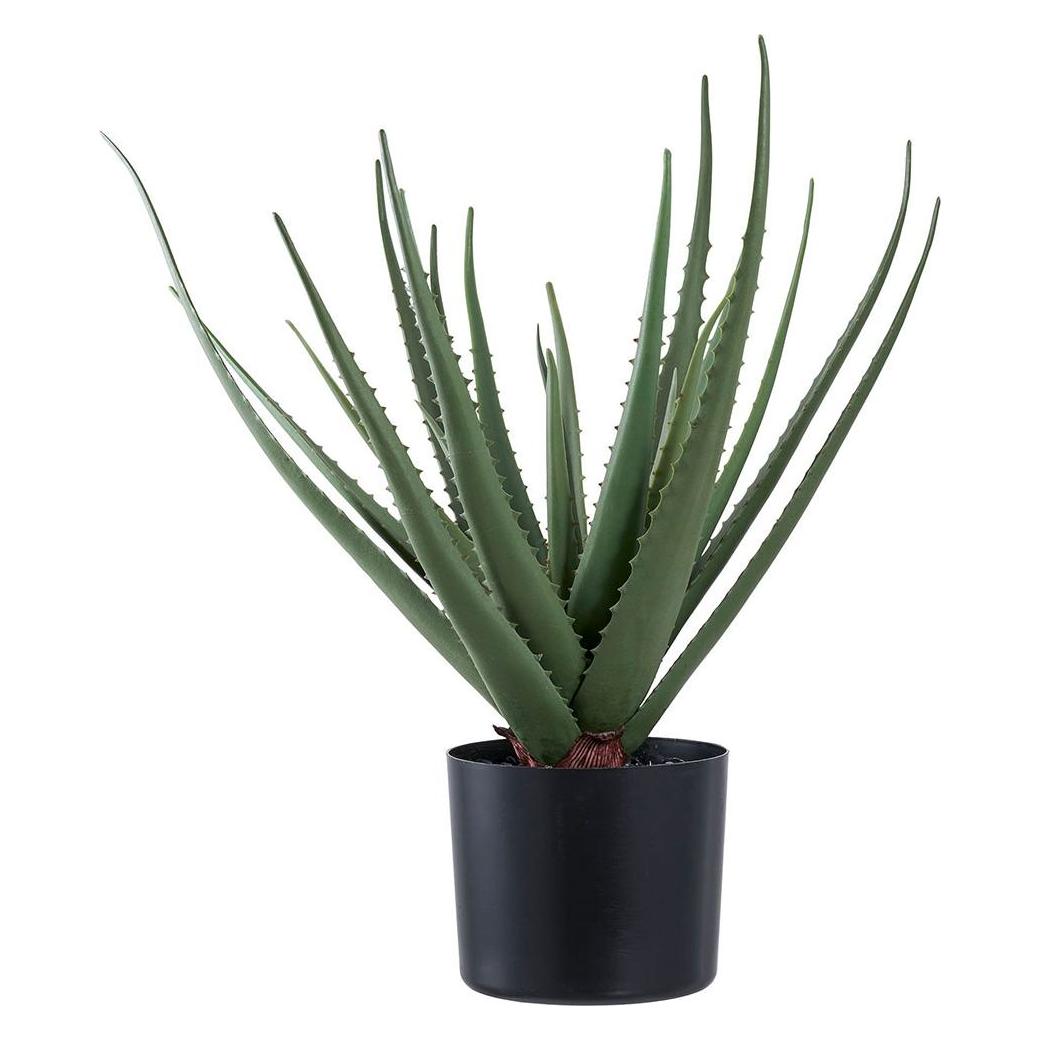House Nordic Aloe (51 cm) (46-9501001)