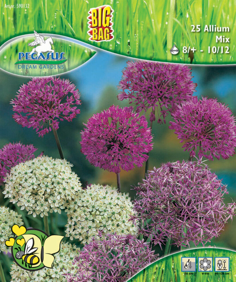 Pegasus Herbstblumenzwiebel Big Bag Allium Zierlauch Mischung 25 Stück
