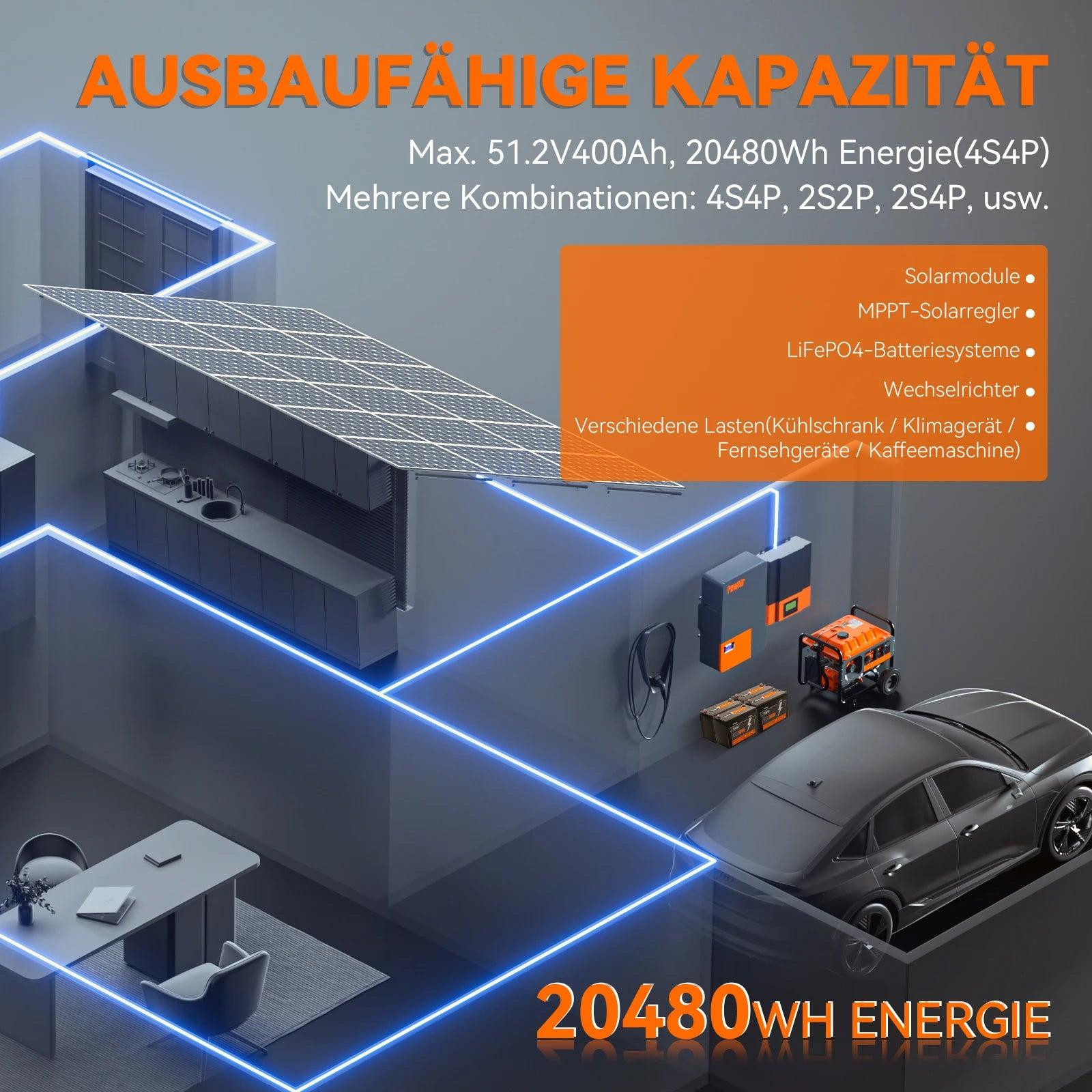 Selius LiFePO4 Lithium Accu 12V 100Ah met ingebouwde BMS