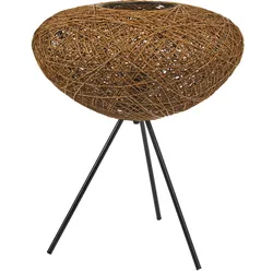 Ledvance Tischleuchte E27 D.Pape#4058075840843