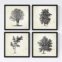 POSTER Set mit 4 Blättern der Bäume ohne und mit Blatt, 20x20cm Schwarzer Rahmen