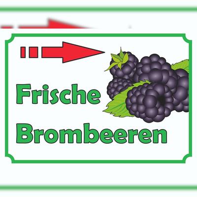 HB-Druck Verkaufsschild Schild Brombeeren rechts A0 (841x1189mm)