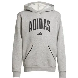 adidas Seasonals Essentials Collegiate Typography Hoodie Kinder -