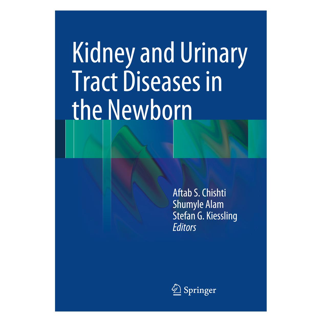 Springer Kidney and Urinary Tract Diseases in the Newborn (Englisch, Hardcover, Aftab S. Chishti, Shumyle Alam, Stefan G. Kiessling) (9783642399879)