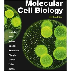 Molecular Cell Biology, Fachbücher von Harvey Lodish, Monty Krieger, Angelika Amon, Michael Yaffe, Anthony Bretscher, Hidde Ploegh, Chris Kaiser, Arnold Berk, Martin Kelsey