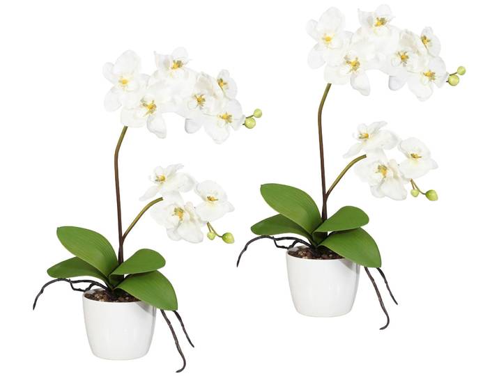 Kunstpflanze CREATIV GREEN Orchidee Phalaenopsis , weiß, H:60cm, Kunststoff, Polyester, Kunstpflanzen, Kunstpflanze, im Keramiktopf
