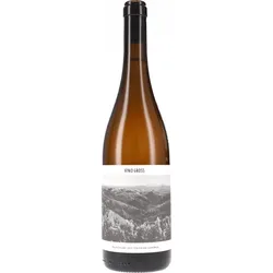 Haloze Blanc Vino Gross 2023 BIO