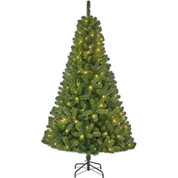 Black Box Trees, Weihnachtsbaum, 185 cm Outdoor Christmas Tree with Lights (185 cm)