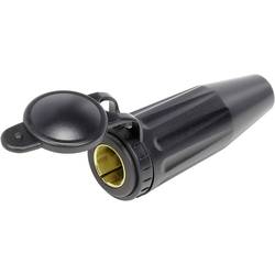 TRU COMPONENTS Kfz-Buchse mit Schutzkappe Belastbarkeit Strom max.=20 A 548043