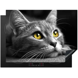 HERDABDECKPLATTE Katze - Grau - Tiere - Katze Induktionsmatte 71x52 cm