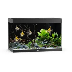 JUWEL Rio 290 LED Aquarium Set schwarz