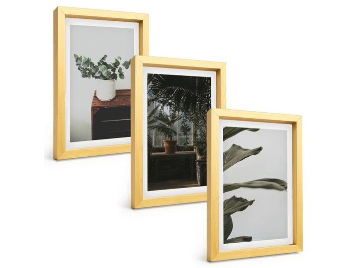 BILDER SET 3er Set - 20x30 cm Goldrahmen - Rustikale Topfpflanzen
