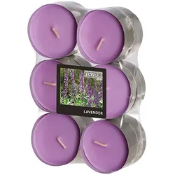 Papstar Maxi-Duftteelichter, Lavendel, Ø 58 mm · 24 mm, "Flavour", 12 x 12 Stück
