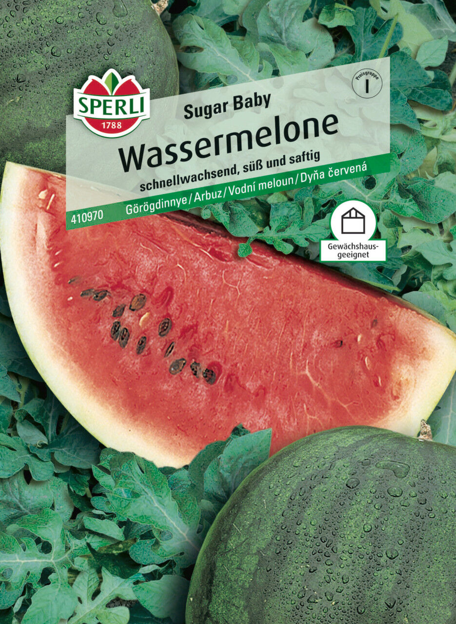 Sperli Saatgut Wassermelonen Sugar Baby für ca. 9 Pflanzen