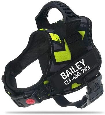 Inspired Living Personalized Adjustable Nylon Dog Vest Harness green Graffiti 2xl