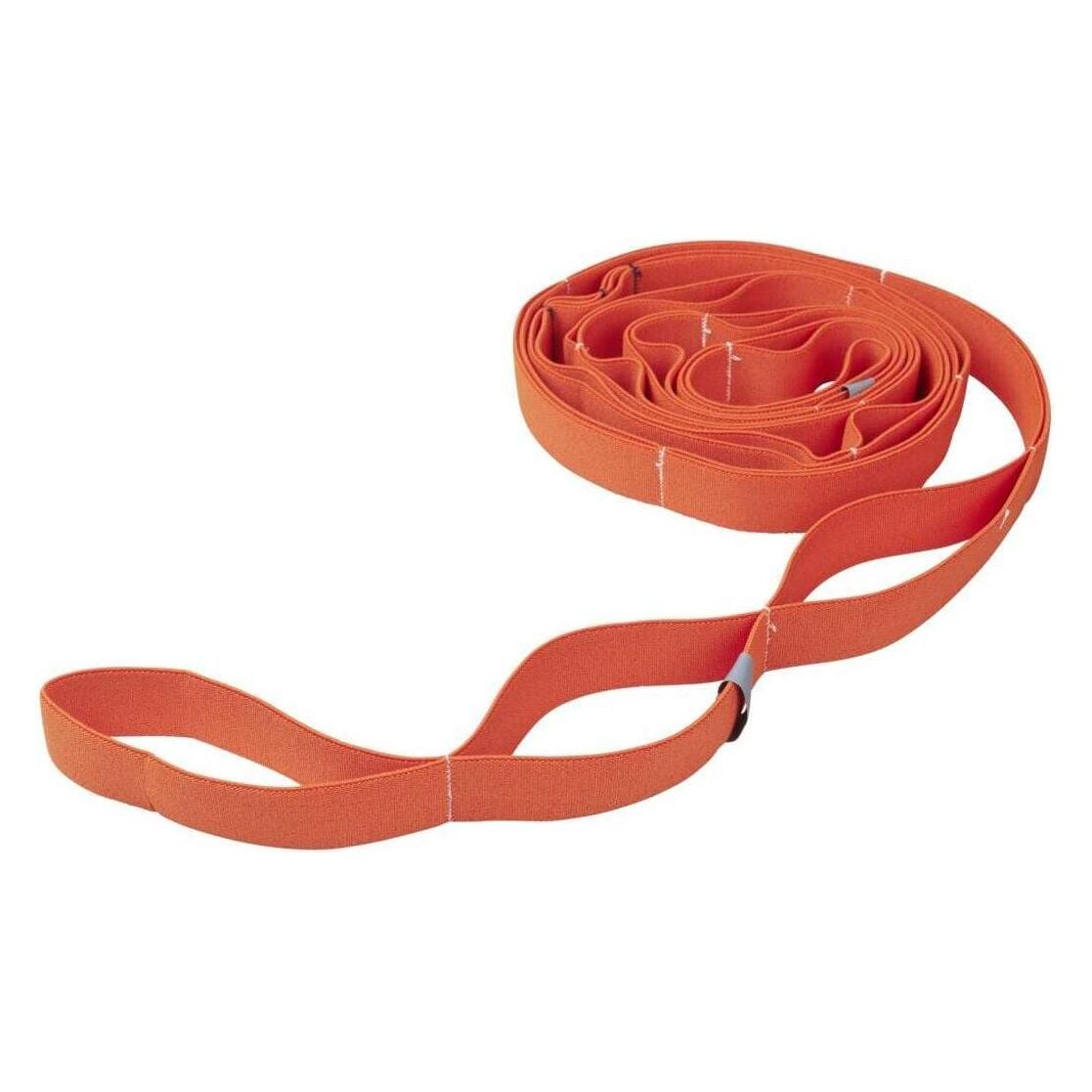 Flexvit Multi Fitnessband, leicht, 10er-Set (2.75 m, Leicht) (K2319)