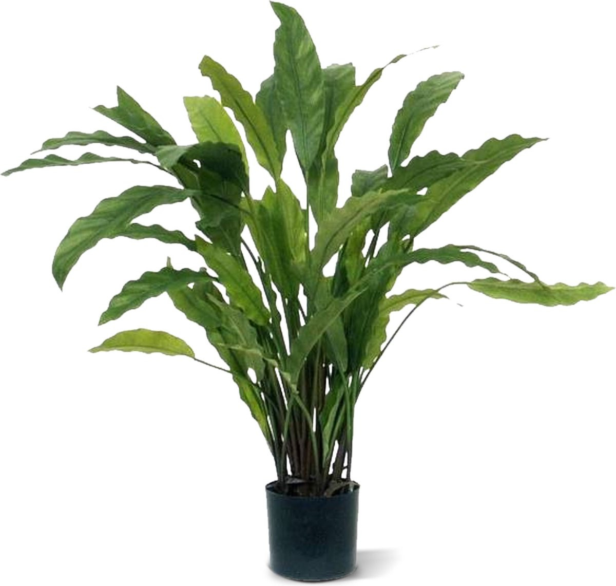 Calathea kunstplant groen, 60 cm