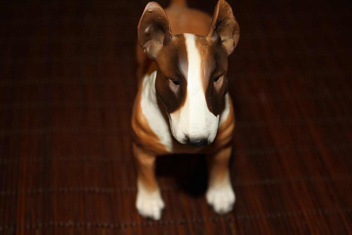 Dog's Life Collectibles Beeld Bullterrier bruin/wit voor volwassenen
