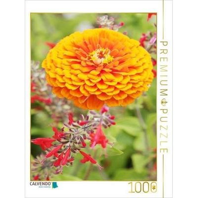 CALVENDO Puzzle Zinnie und Roter Salbei | 1000 Teile Lege-Größe 64x48cm Foto-Puzzle für glückliche Stunden