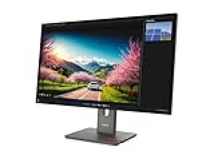 Lenovo ThinkVision P32UD-40 Monitor (P32UD-40 31.5 UHD IPS 16:9 - 350CD/M L/T/P/S ENET)