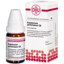 EUPATORIUM PERFOLIATUM C 6 Globuli 10 g