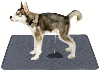 ilyeco Dog Pee Pad,Reusable Washable Pet Urine Mat,Waterproof Absorbent Puppy Cat Training Diaper,Sofa Car Seat Floor Protector gray 70x100cm