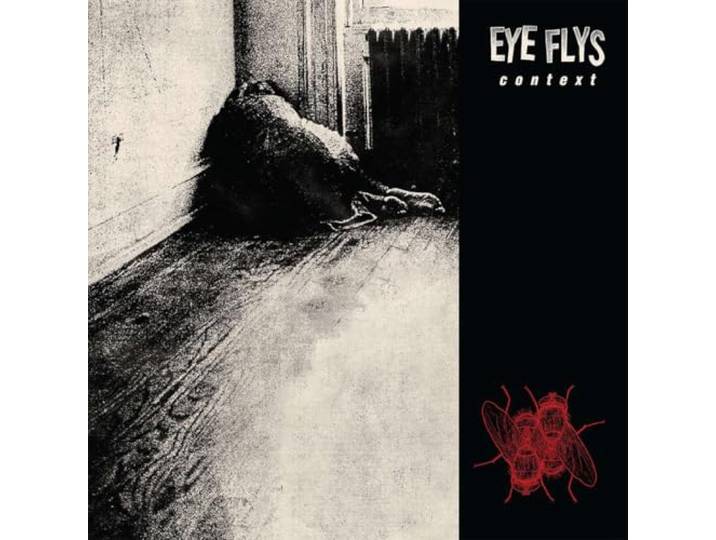 CONTEXT-EYE FLYS