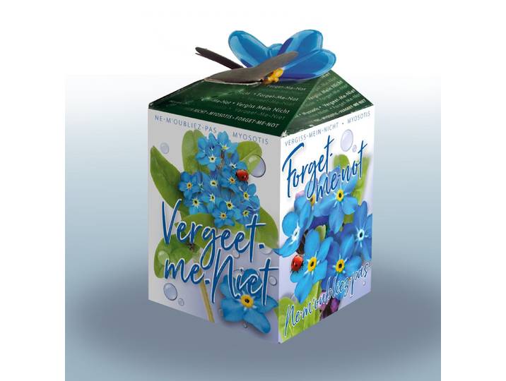 Greengift Vergeet-me-niet