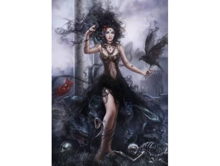 Grafika puzzel Shadowness - 1000 stukjes