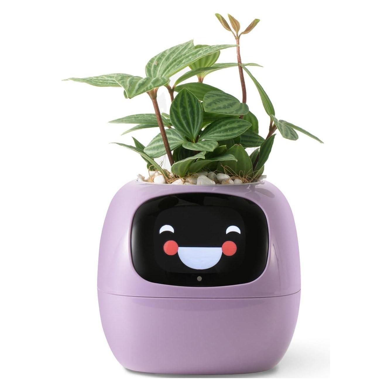 Plantsio Ivy Smart Planter (5.50 x 9.60 cm) (ivy_smart_planter_purple)
