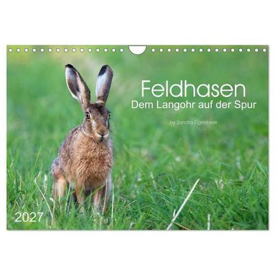 Feldhasen - dem Langohr auf der Spur (Wandkalender 2027 DIN A4 quer), CALVENDO Monatskalender