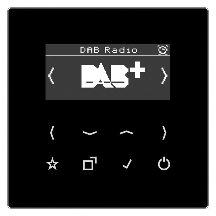 JUNG Smart Radio DABLSSW DAB+ (DAB+, FM, WLAN) (DABLSSW)