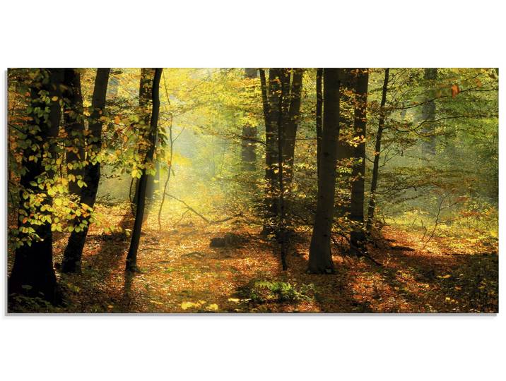 Glasbild ARTLAND Herbstlicht im Wald , grün (farbe bild(er): grün), B:60cm H:30cm, Bilder, Glasbild, in verschiedenen Grössen