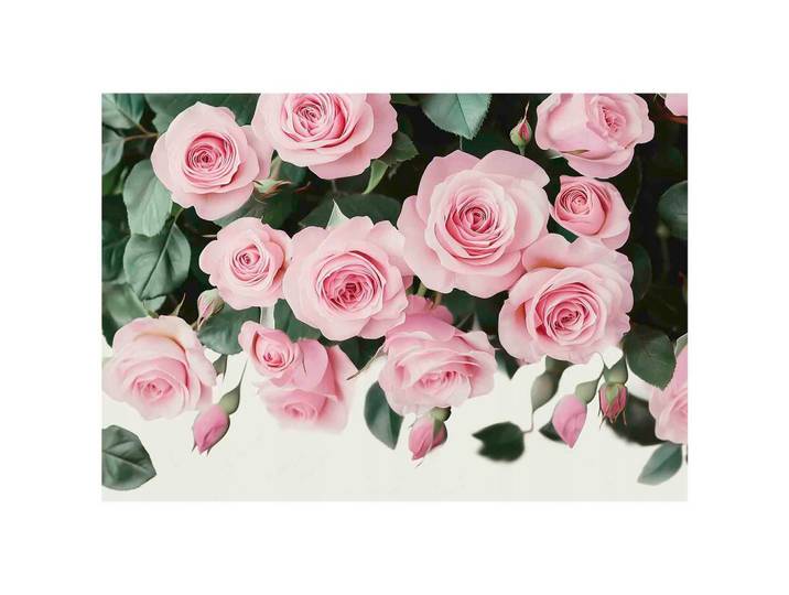 FOTOTAPETE Blumen Rosen Schlafzimmer 200x140