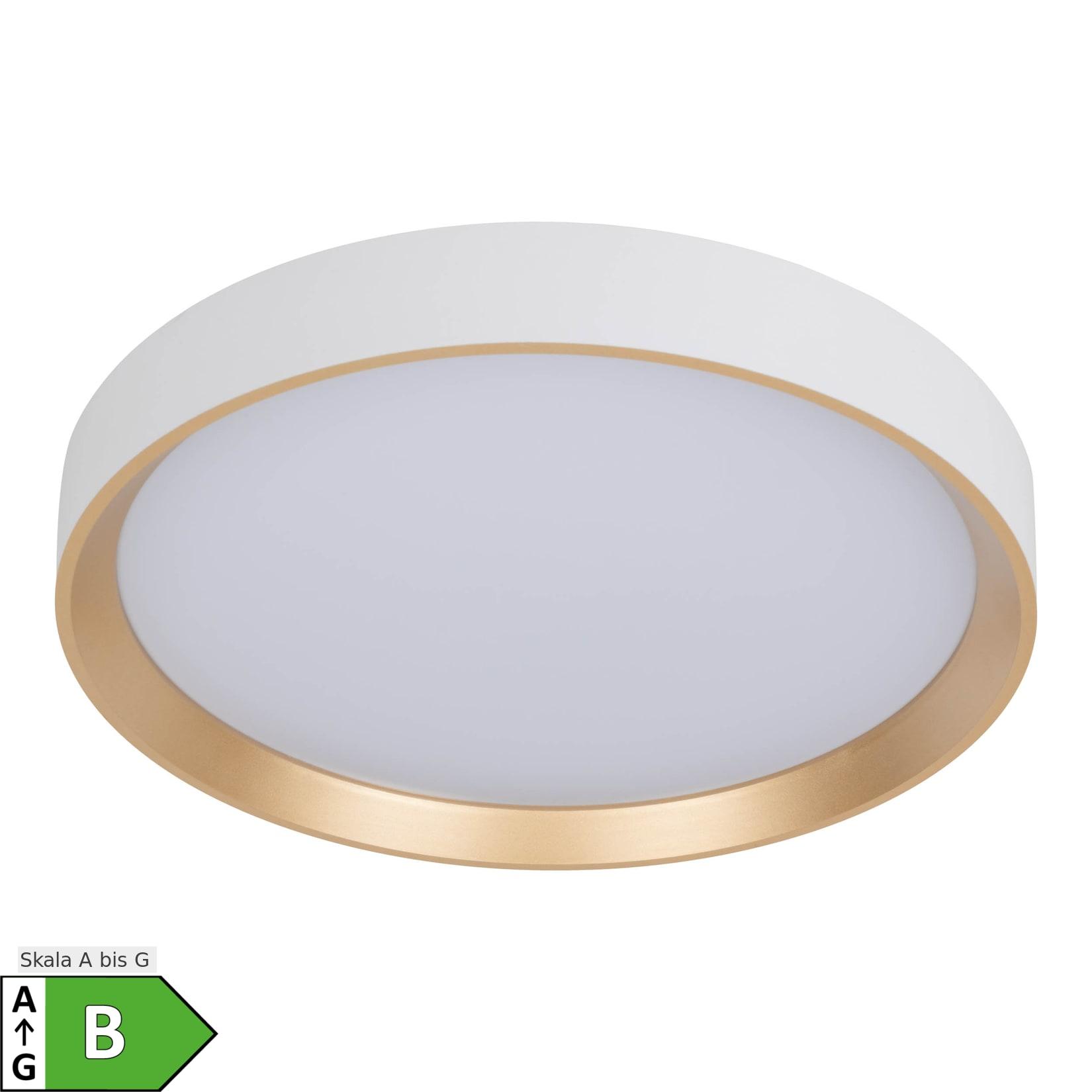 Näve LED Deckenleuchte "RIO" Ø: 38,3cm weiß/gold