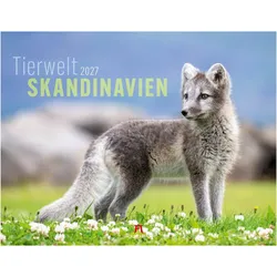 Ackermann, Kalender, Tierwelt Skandinavien Kalender 2027 (Spezial)