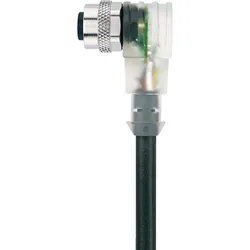 Escha Steckverbinder AL-WWAK3P2 #8065359