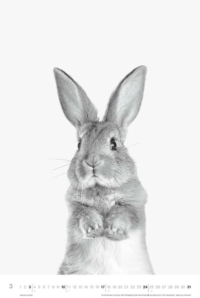 Dieren Kalender Poster met Zwart-Wit Fotografie, 33 x 49,5 cm
