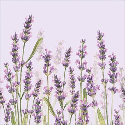 Ambiente 20 Servietten Papier 33x33cm 3-lag - hochwertige Einweg Papierservietten Lavendel Aquarell violett grün Landhausstil Sommer Feier Dekoration Tischdeko