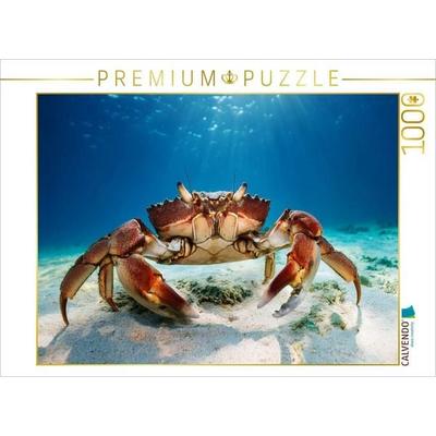 CALVENDO Puzzle Riesenkrabbe unter Wasser | 1000 Teile Lege-Größe 64x48cm Foto-Puzzle für glückliche Stunden
