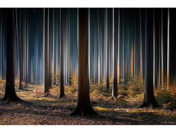 Fototapete PAPERMOON Photo-Art CARSTEN MEYERDIERKS, MYSTISCHER WALD , bunt, B:1,5m L:1,11m, Vlies, Tapeten, Fototapete