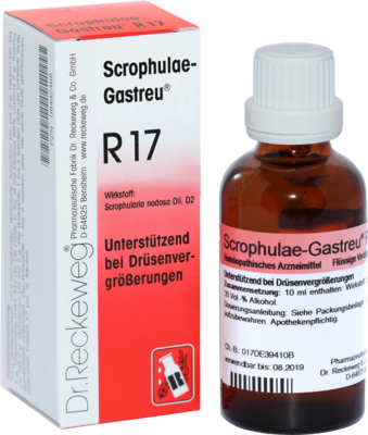Dr.RECKEWEG & Co. GmbH SCROPHULAE-Gastreu R17 Mischung 22 ml 08492451