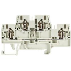 Wieland Electric 56.703.7055.0 Reihenklemme Klemme Grau 1 St. Piece