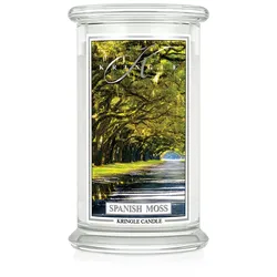 Spanish Moss 623g