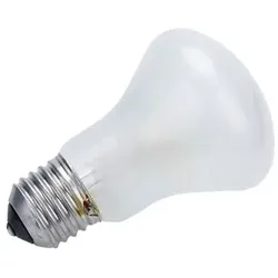 ELINCHROM 196V/100W E27 #23002 Speziallampe Einstelllicht für Elinchrom