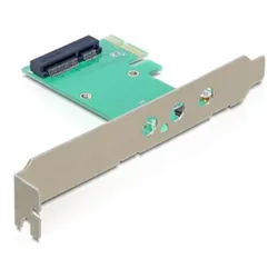 DeLOCK 89294, Mini PCIe zu PCIe x1 Adapterkarte mit externen Antennenanschlüssen, PCIe x1