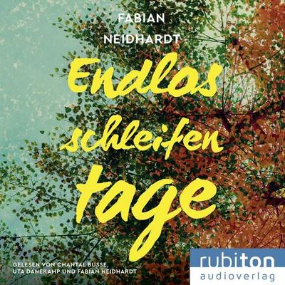 Endlosschleifentage - Fabian Neidhardt, Audio, 9783987151620