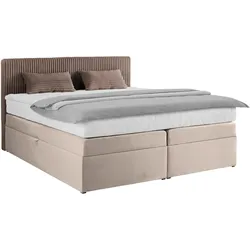 Boxspringbett Rossa in Braun ca. 160x200cm